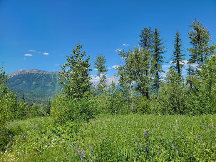 Proposed - Lot 90 MONTANE PARKWAY - Fernie for sale(2478418)