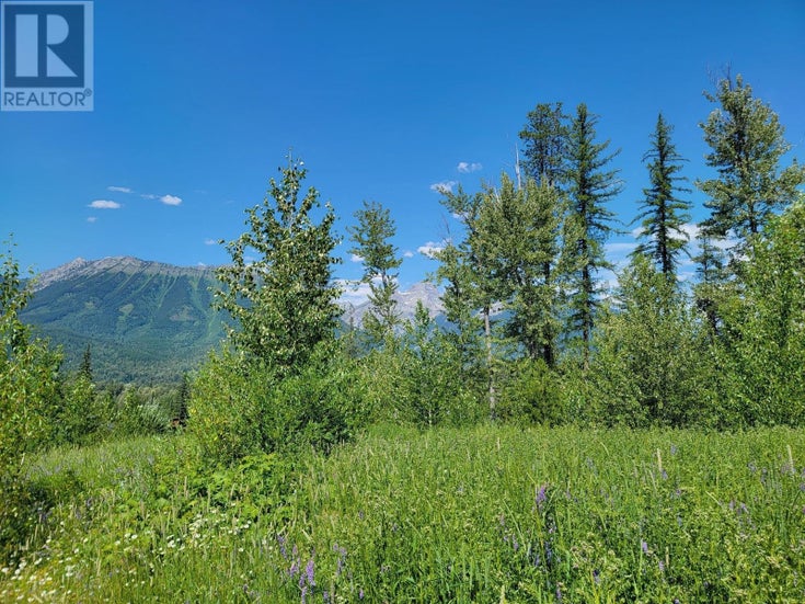 Lot 90 MONTANE PARKWAY Unit# Proposed - Fernie Other for Sale(2478418)