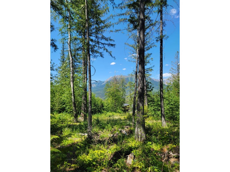 Proposed - Lot 93 MONTANE PARKWAY - Fernie for sale(2478417)