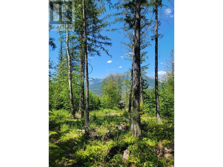 Lot 93 MONTANE PARKWAY Unit# Proposed - Fernie Other for Sale(2478417)