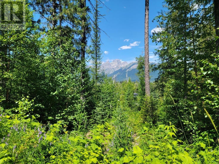 Lot 92 MONTANE PARKWAY Unit# Proposed - Fernie Other for Sale(2478416)