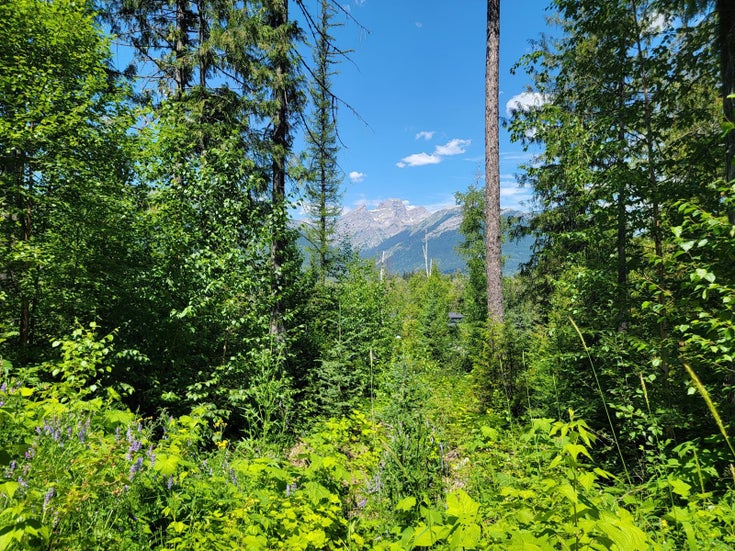 Proposed - Lot 92 MONTANE PARKWAY - Fernie for sale(2478416)