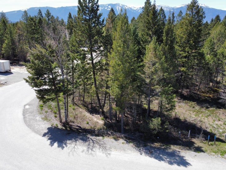 Lot 48 COPPER POINT WAY - Windermere for sale(2476860)