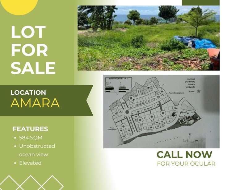 Amara Lot, Catarman, Liloan, Cebu 6002 - Catarman, Liloan Land for Sale(SELL24090303)