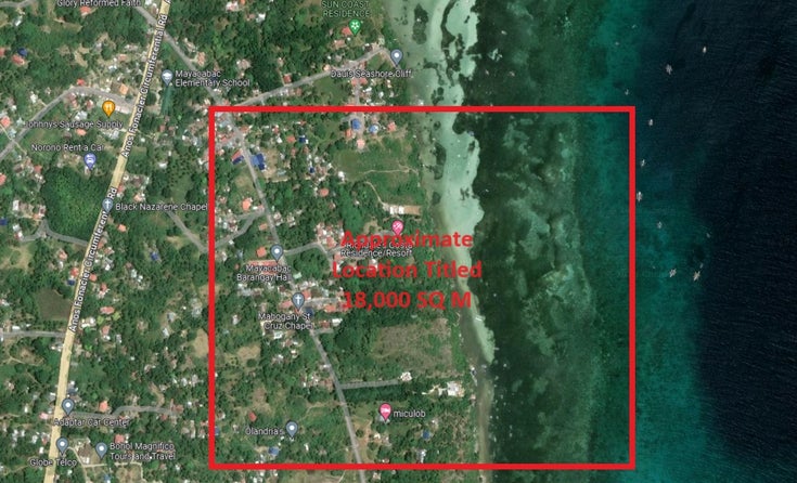 18,000 SQ M with 135 M Ocean Frontage, Dauis, Bohol 6339 - Mayacabac, Dauis Land for sale(SELL24020102)