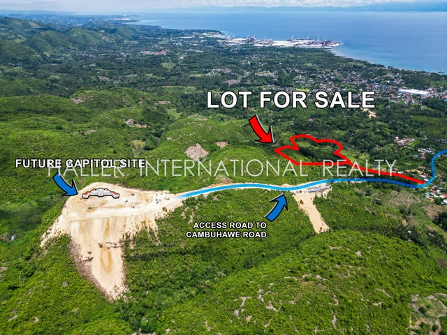 49,000 SQ M Beside New Capitol Site, Balamban, Cebu 6041 - other Land for sale(SELL2023061601)