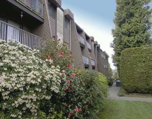 215 3911 Carrigan Court - Government Road Apartment/Condo, 3 Bedrooms (V674415)