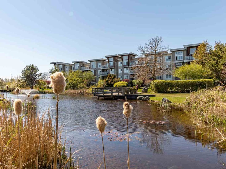 226 5800 Andrews Road - Steveston South Apartment/Condo for sale, 2 Bedrooms (R2569641)
