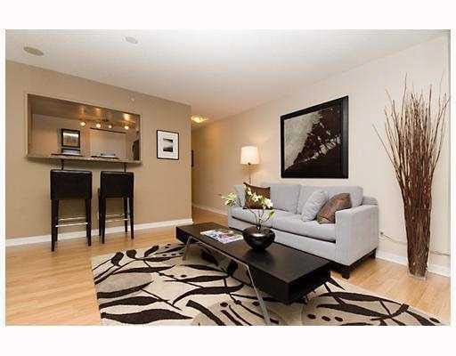 102 1367 Alberni Street - West End VW Apartment/Condo, 1 Bedroom (V751403)