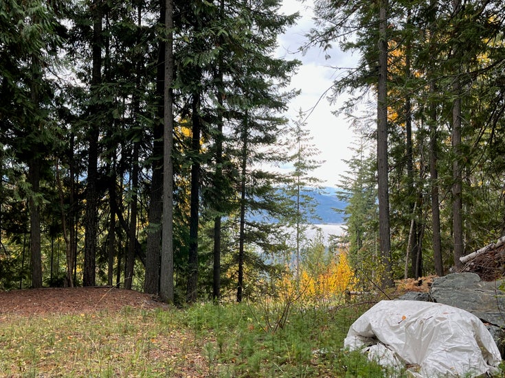 7423 Anglemont Way, Anglemont BC, V0E 1M8 - Anglemont Vacant Land(10328670)