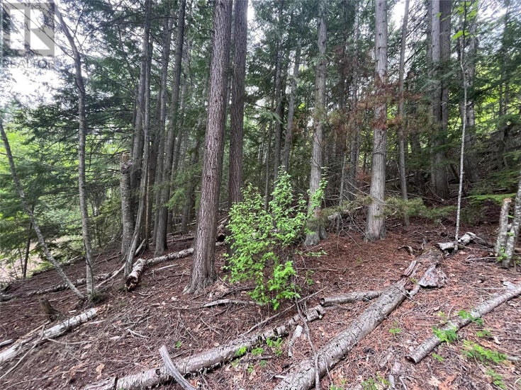 Lot 37 Vickers Trail Lot# 37 - Anglemont Other for Sale(10346693)
