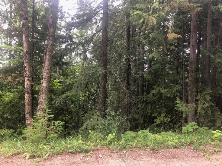 Lot 36 Vickers Trail, Anglemont BC, V0E 1M8 - North Shuswap Vacant Land for sale(10260963)