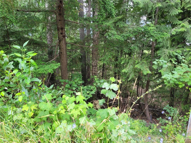 Lot 64, Castle Heights, Anglemont BC, V0E 1M8 - Anglemont Vacant Land(10281514)