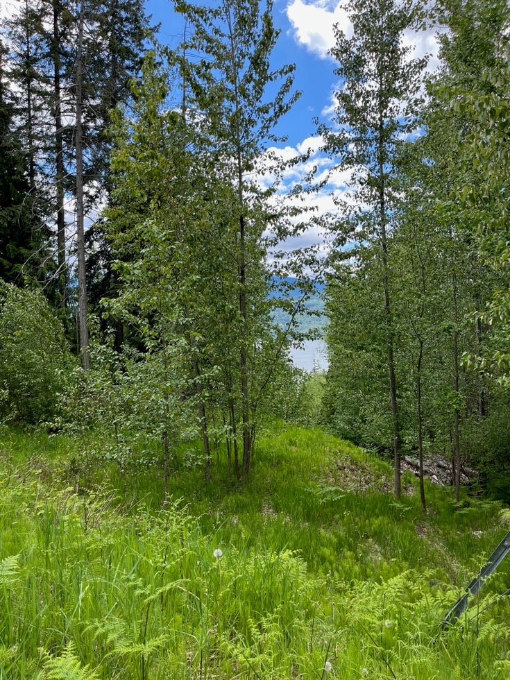 161 Anglemont Drive, Anglemont BC V0E 1M8 - Anglemont Vacant Land(10314216)