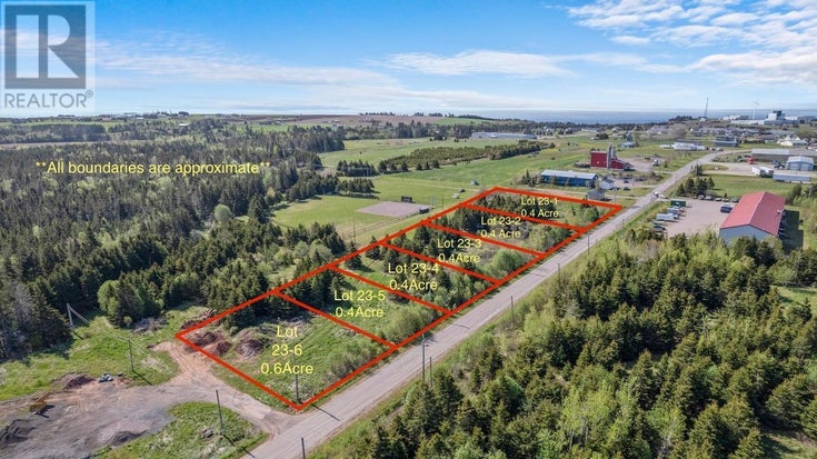 Lot 23-1 LEA CRANE Boulevard - Souris for sale(202426500)