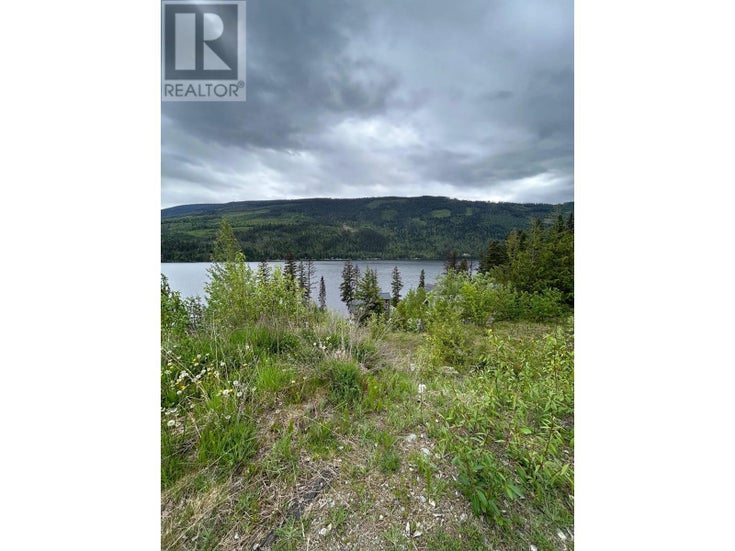 7540 RUSSEL CREEK FOREST SERVICE Road Unit# 56 - Barriere Other for Sale(10340142)