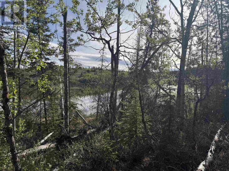 BLK B W PUNTZI AIRPORT ROAD - Williams Lake for Sale(R2961998)