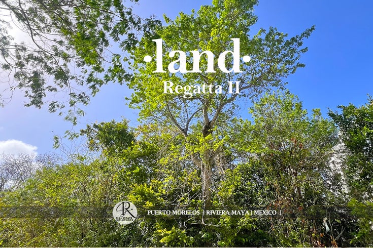 Property for Sale in Puerto Morelos, Quintana Roo