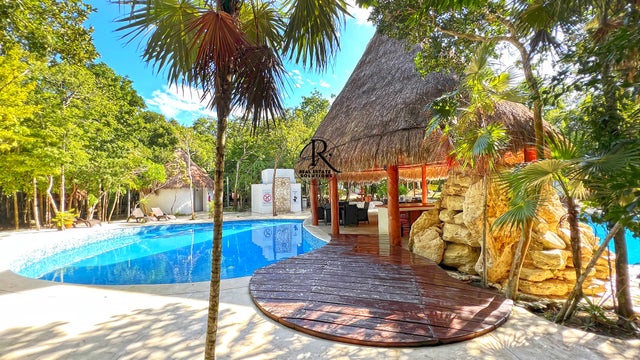 Punta vista land