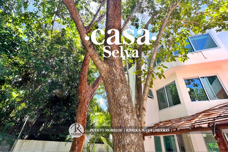 regatta puerto morelos - Puerto Morelos House for Sale, 3 Bedrooms 