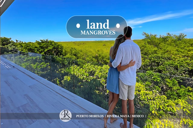 Punta Vista Mangrove Views