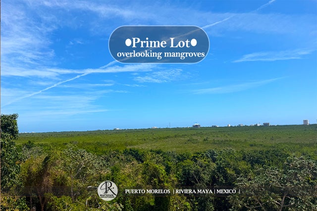 Mangrove View Lot for Sale in Regatta