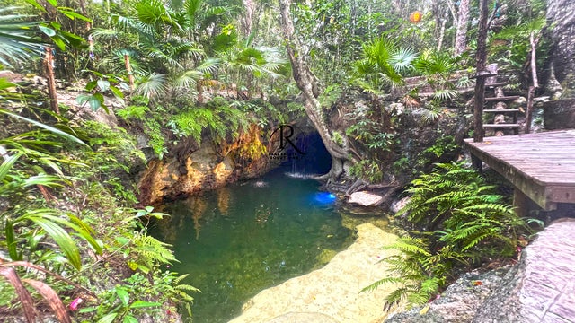 ruta de los cenotes