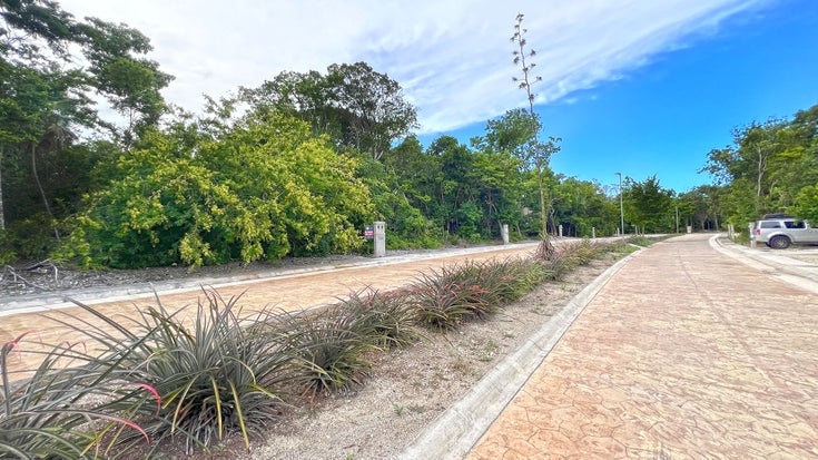 Aldeha Kann  - Puerto Morelos Land