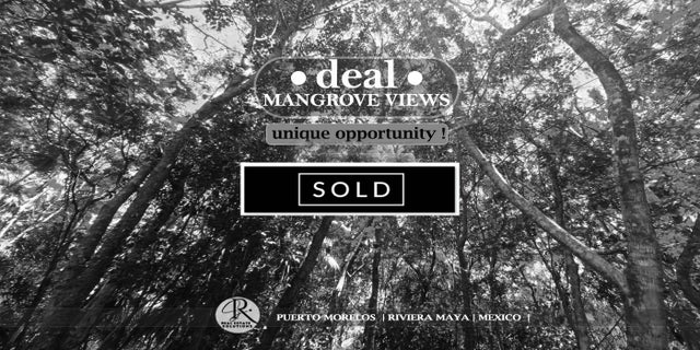 Opportunity Lot
