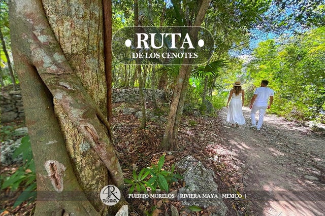 ruta de los cenotes