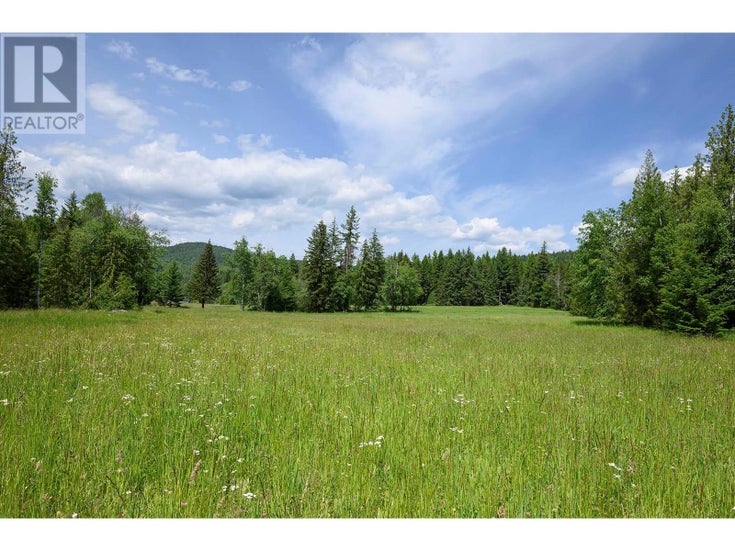 937 Clearwater Village Road - Clearwater Other for Sale(10349794)