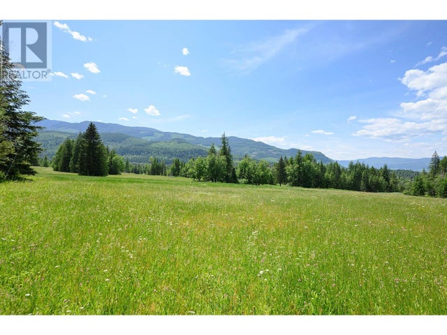 943 Raft River Road - Clearwater Other for Sale(10349762)