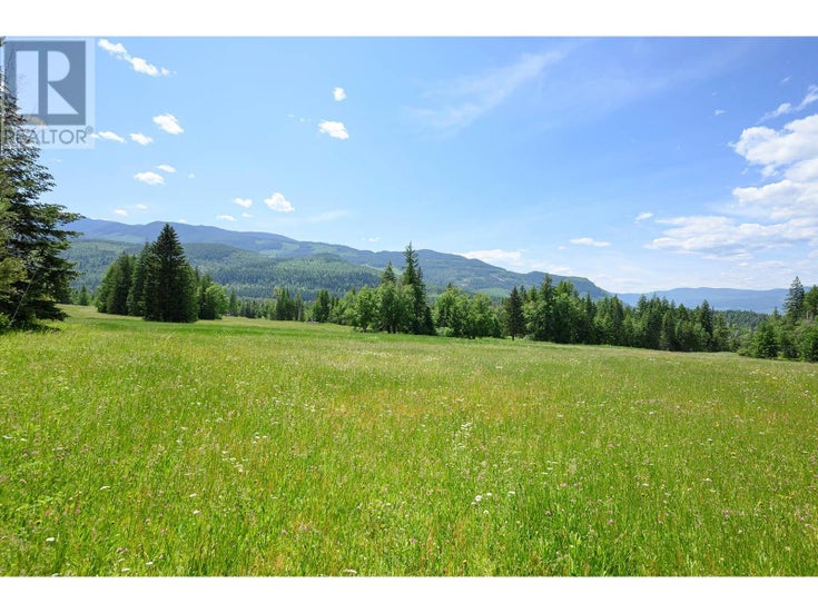 943 Raft River Road - Clearwater Other for Sale(10349762)
