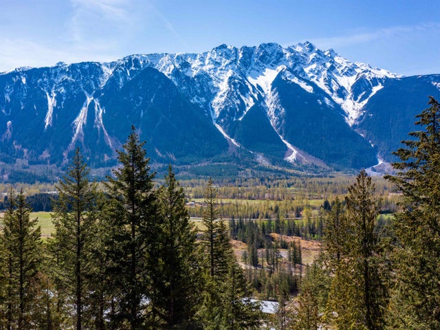 8203 Merlot Peak Drive - Pemberton Land for Sale(R2960682)