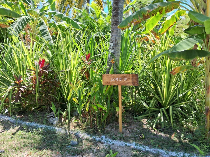 Amanpur Eco Living land for sale lot 14 - Barra de Navidad Land for Sale