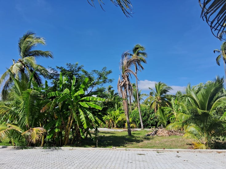 Amanpur Eco Living land for sale lot 17 - Barra de Navidad Land for Sale