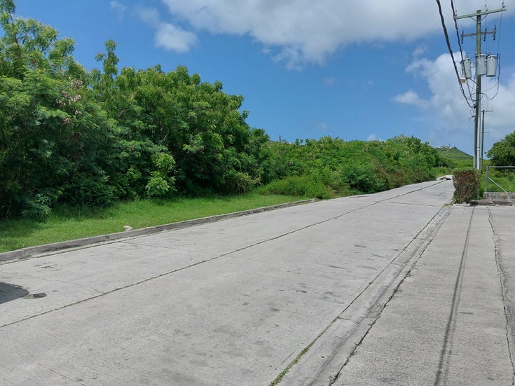 Friars Hill Road - St. John Land for Sale