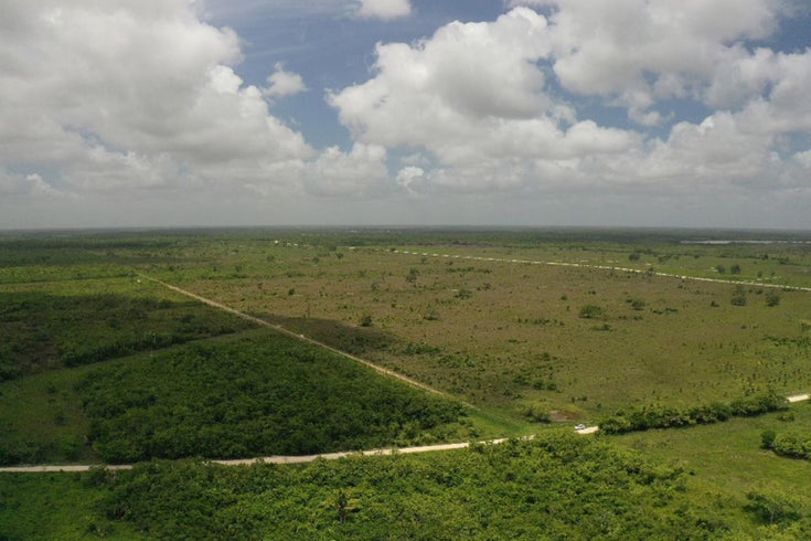 50 Coconut Farm - Mayan Garden - Orange Walk Land for sale