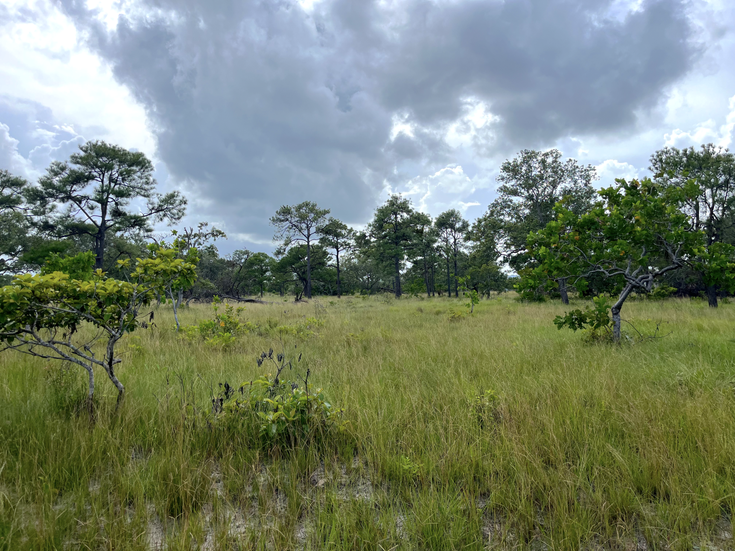 Prime 10 Acre Roadfront Property - other Land for sale