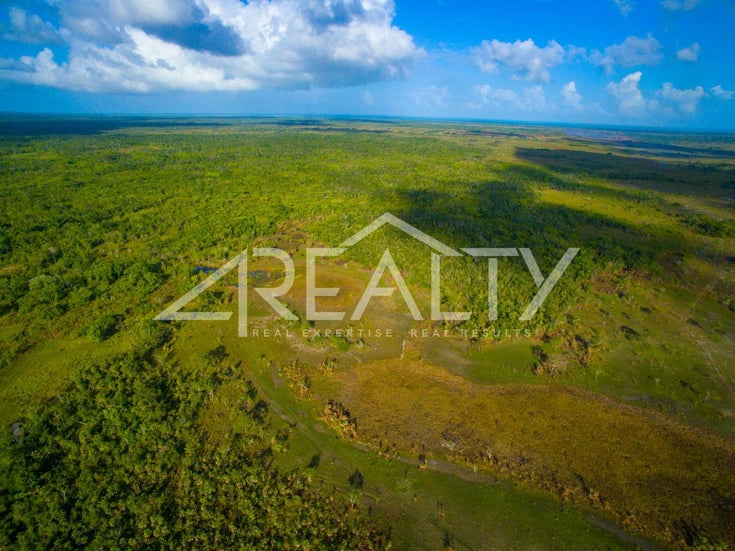 58 Acres Phillip Goldson/Northern Highway - Belize District  Land for sale