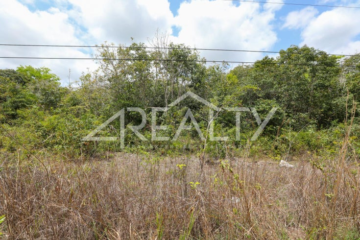 100 Acre Prime Investment Property - Belize District Land for sale