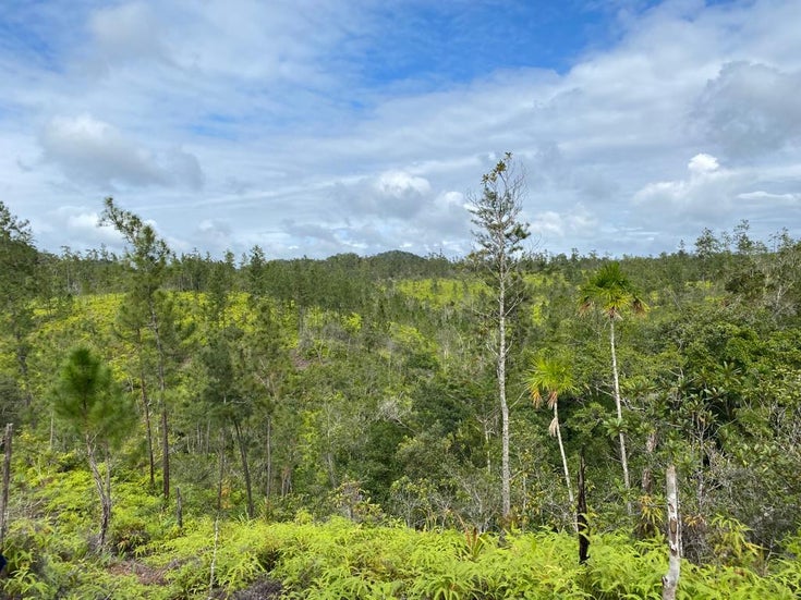 Mountain Pine Ridge - Cayo Land for sale