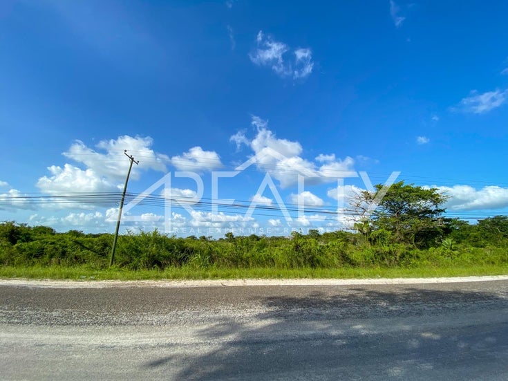 50 Acres Philip Goldson Highway. - Belize District Land for sale