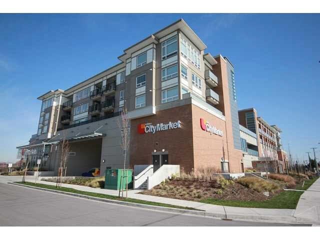 417 12339 Steveston Highway - Ironwood Apartment/Condo, 1 Bedroom (R2148758)