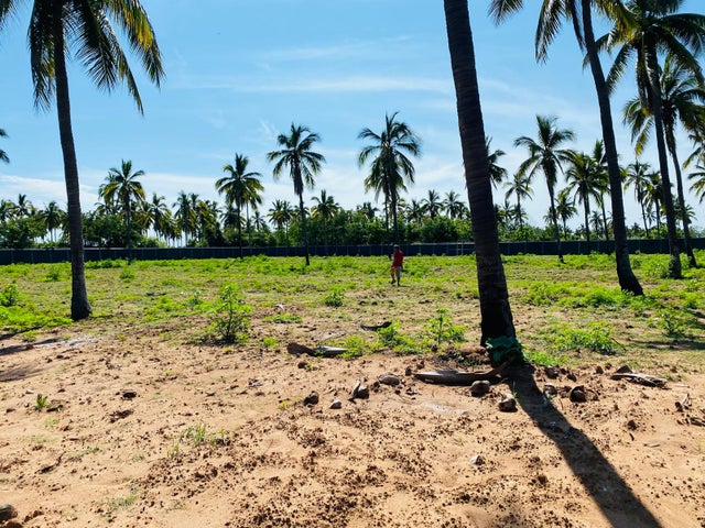 EJIDO BARRON /  MAZATLAN SINALOA  - EJIDO BARRON Land for Sale