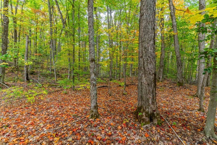 Part Lot 1 Salerno Lake Road - Glamorgan Vacant Land for Sale(X12432103)