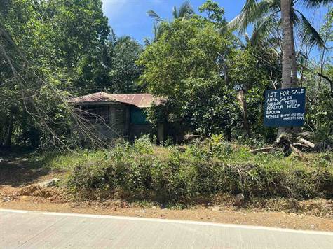 Purok 3 Barangay Alaguisoc - Jordan Land for sale(5304062023)