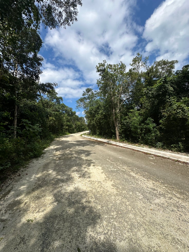 LAND  North Zone - Cozumel North Zone  Land for Sale