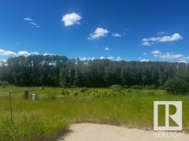 #14 1118 TWP RD 534 - Hills Of Twin Lakes Vacant Lot/Land for Sale(E4425702)