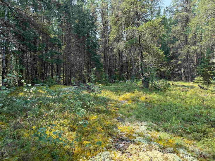 LOT 2 Kinger Road - Kenora for Sale(TB252326)